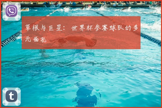 草根与巨星：世界杯参赛球队的多元面孔