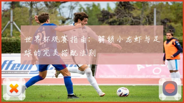 世界杯观赛指南：解锁小龙虾与足球的完美搭配法则