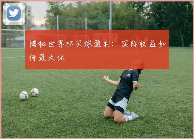 揭秘世界杯买球盈利：实际收益如何最大化