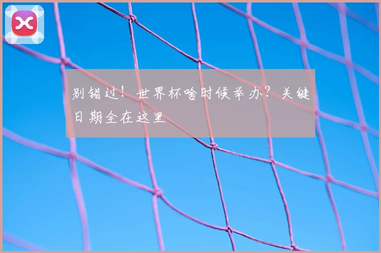 别错过！世界杯啥时候举办？关键日期全在这里
