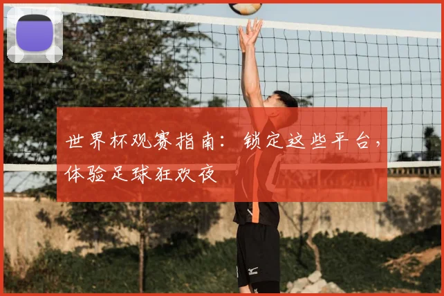 世界杯观赛指南：锁定这些平台，体验足球狂欢夜