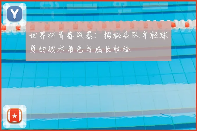 世界杯青春风暴：揭秘各队年轻球员的战术角色与成长轨迹