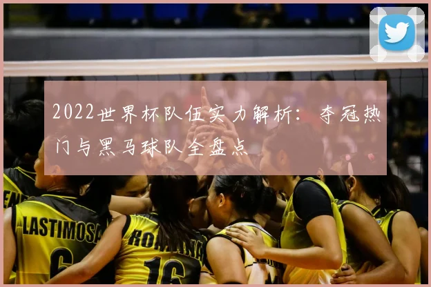 2022世界杯队伍实力解析：夺冠热门与黑马球队全盘点